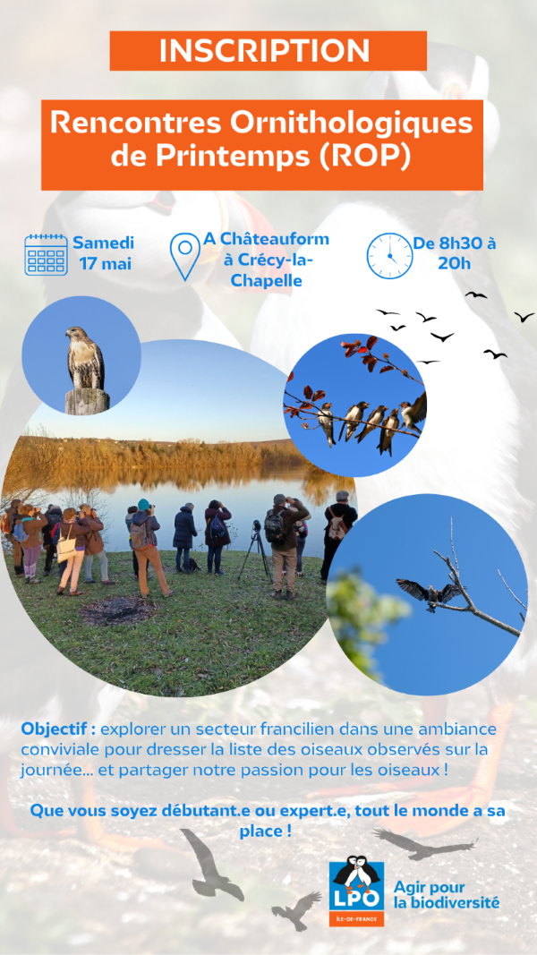 Participez au Rencontres Ornithologiques de Printemps à Crécy-la-Chapelle !